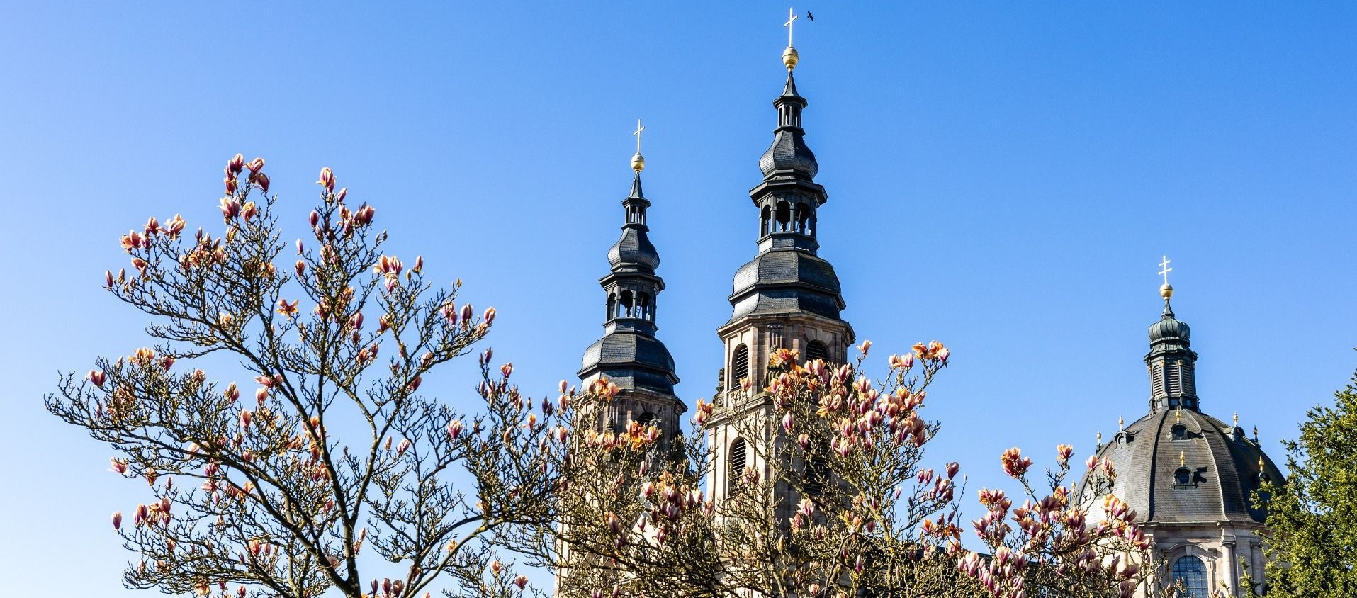 Während der Karwoche und an den Osterfeiertagen finden im Fuldaer Dom wieder einige feierliche Gottesdienste statt. Begleitet werden sie von den Domchören sowie festlicher Orchester- und Orgelmusik. Foto: Bistum Fulda / Burkhard Beintken